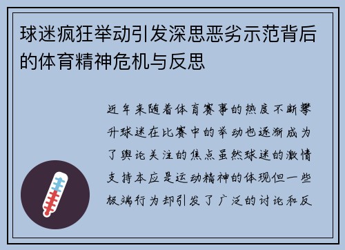 球迷疯狂举动引发深思恶劣示范背后的体育精神危机与反思