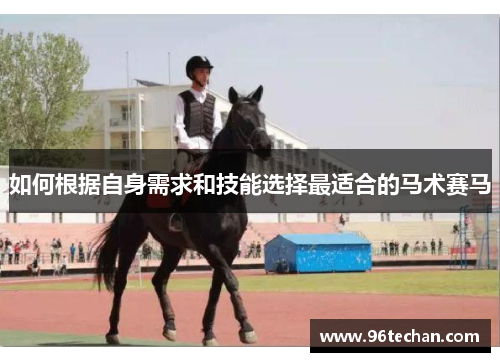 如何根据自身需求和技能选择最适合的马术赛马