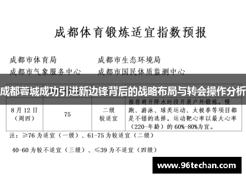 成都蓉城成功引进新边锋背后的战略布局与转会操作分析